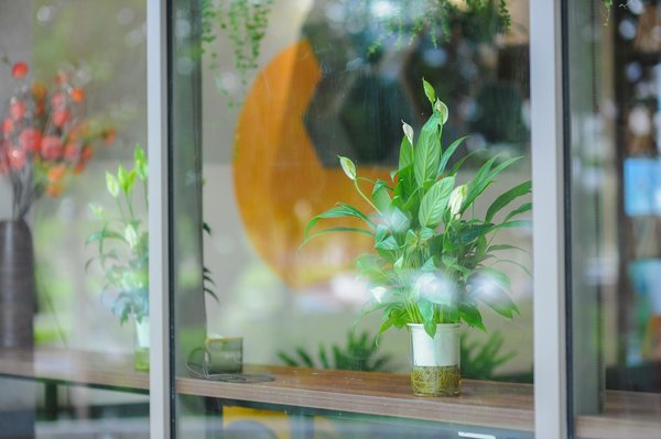 Stratégies Innovantes de Marketing en E-sport : Boostez Votre Visibilité et Votre Impact