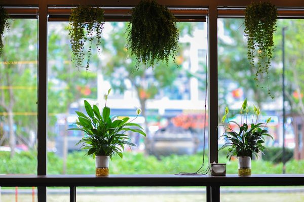 L'humour français vs l'humour britannique : Découverte des nuances comiques et culturelles